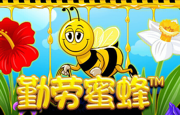 925体育直播app下载